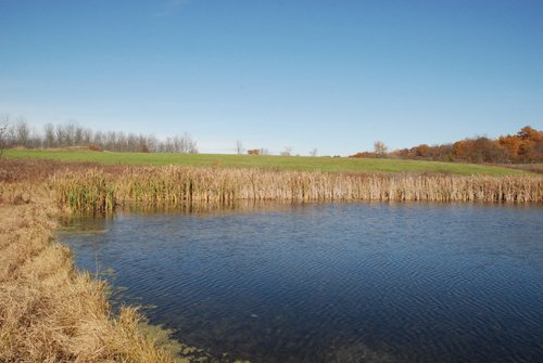 Property photo 34 - 117 Acres Offered in 6 Tracts
