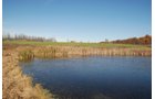 Property photo 34 - 117 Acres Offered in 6 Tracts
