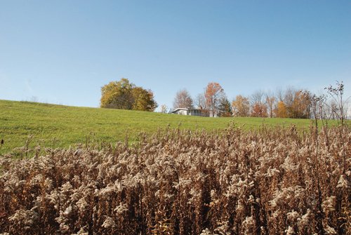 Property photo 13 - 117 Acres Offered in 6 Tracts
