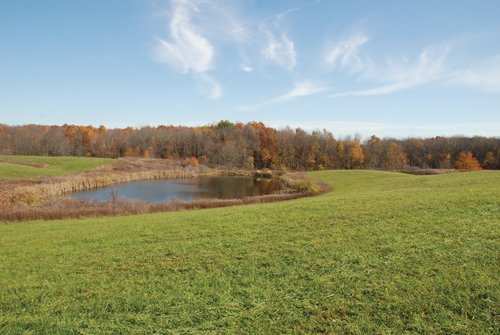 Property photo 64 - 117 Acres Offered in 6 Tracts
