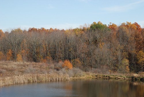 Property photo 49 - 117 Acres Offered in 6 Tracts
