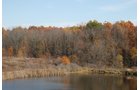 Property photo 49 - 117 Acres Offered in 6 Tracts
