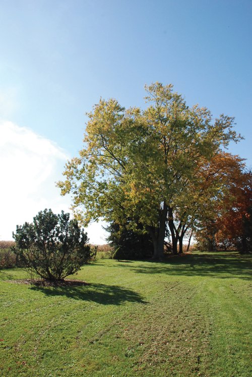Property photo 88 - 117 Acres Offered in 6 Tracts

