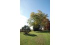 Property photo 88 - 117 Acres Offered in 6 Tracts
