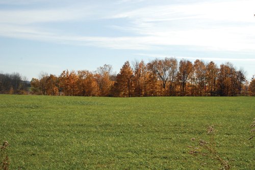Property photo 28 - 117 Acres Offered in 6 Tracts
