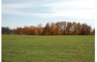 Property photo 28 - 117 Acres Offered in 6 Tracts
