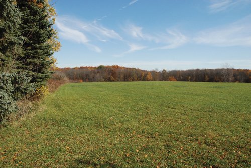 Property photo 24 - 117 Acres Offered in 6 Tracts
