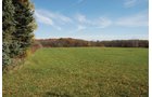 Property photo 24 - 117 Acres Offered in 6 Tracts
