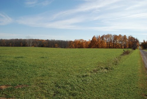 Property photo 43 - 117 Acres Offered in 6 Tracts
