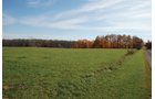 Property photo 43 - 117 Acres Offered in 6 Tracts
