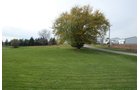 Property photo 7 - Real Estate Auction & 1994 Cavalier