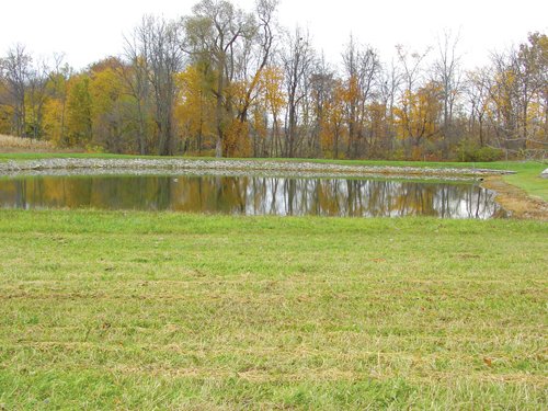 Property photo 23 - Real Estate & Personal Property Auction - Woods, Pond, Building Sites - Tractors, Equipment, Shop Tools, Guns