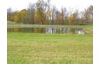 Property photo 23 - Real Estate & Personal Property Auction - Woods, Pond, Building Sites - Tractors, Equipment, Shop Tools, Guns