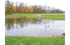 Property photo 34 - Real Estate & Personal Property Auction - Woods, Pond, Building Sites - Tractors, Equipment, Shop Tools, Guns