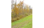 Property photo 6 - Real Estate & Personal Property Auction - Woods, Pond, Building Sites - Tractors, Equipment, Shop Tools, Guns