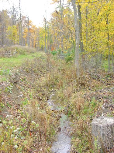 Property photo 10 - Real Estate & Personal Property Auction - Woods, Pond, Building Sites - Tractors, Equipment, Shop Tools, Guns