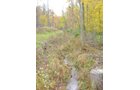 Property photo 10 - Real Estate & Personal Property Auction - Woods, Pond, Building Sites - Tractors, Equipment, Shop Tools, Guns