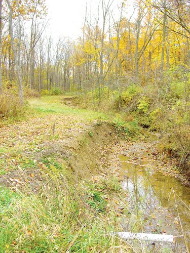 Property photo 8 - Real Estate & Personal Property Auction - Woods, Pond, Building Sites - Tractors, Equipment, Shop Tools, Guns
