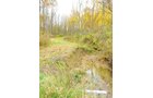 Property photo 8 - Real Estate & Personal Property Auction - Woods, Pond, Building Sites - Tractors, Equipment, Shop Tools, Guns