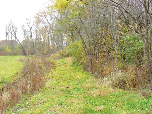 Property photo 25 - Real Estate & Personal Property Auction - Woods, Pond, Building Sites - Tractors, Equipment, Shop Tools, Guns