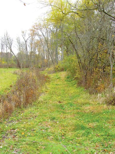 Property photo 22 - Real Estate & Personal Property Auction - Woods, Pond, Building Sites - Tractors, Equipment, Shop Tools, Guns