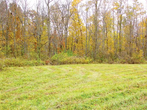 Property photo 9 - Real Estate & Personal Property Auction - Woods, Pond, Building Sites - Tractors, Equipment, Shop Tools, Guns