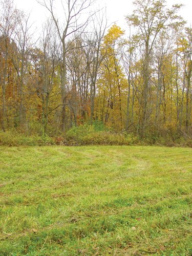Property photo 16 - Real Estate & Personal Property Auction - Woods, Pond, Building Sites - Tractors, Equipment, Shop Tools, Guns
