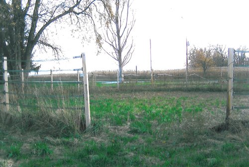 Property photo 9 - 40 Acres Offered in 3 Tracts
