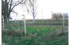 Property photo 9 - 40 Acres Offered in 3 Tracts
