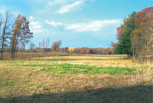 Property photo 10 - 40 Acres Offered in 3 Tracts
