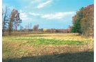 Property photo 10 - 40 Acres Offered in 3 Tracts
