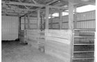 Property photo 2 - 40 Acres Offered in 3 Tracts
