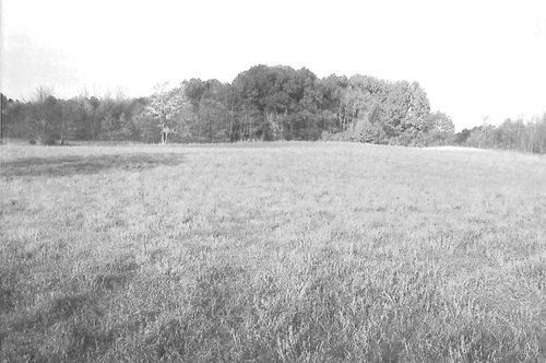 Property photo 4 - 40 Acres Offered in 3 Tracts
