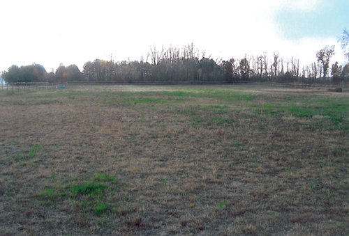 Property photo 1 - 40 Acres Offered in 3 Tracts
