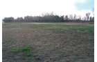 Property photo 1 - 40 Acres Offered in 3 Tracts
