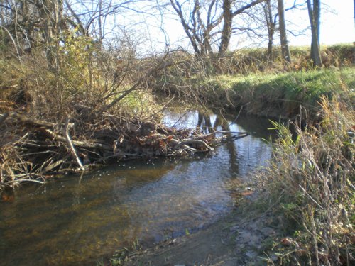 Property photo 2 - 119 Acres in 6 Tracts