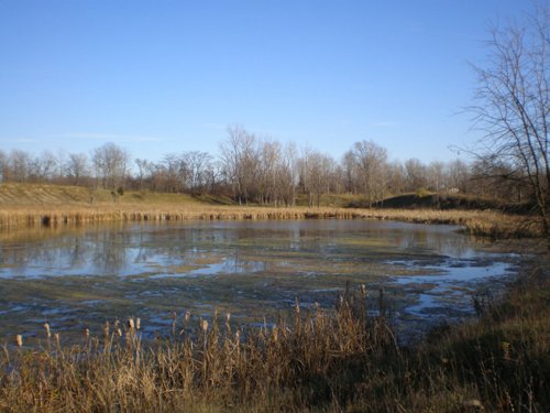 Property photo 5 - 119 Acres in 6 Tracts