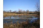 Property photo 5 - 119 Acres in 6 Tracts