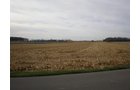 Property photo 3 - 119 Acres in 6 Tracts
