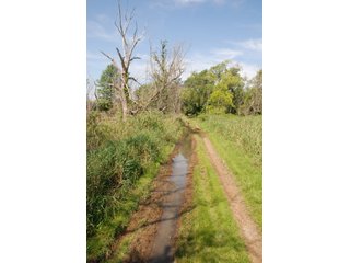 This unique property adjoins the Pigeon Fish & Wildlife Area, which is dedicated to providing quality hunting and fishing on 11,605 acres of land, 529 acres of lakes and 17 miles of free flowing river. - 160 acres - Agriculture & Recreation Land