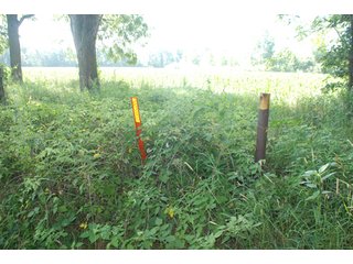 This unique property adjoins the Pigeon Fish & Wildlife Area, which is dedicated to providing quality hunting and fishing on 11,605 acres of land, 529 acres of lakes and 17 miles of free flowing river. - 160 acres - Agriculture & Recreation Land