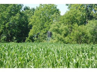 This unique property adjoins the Pigeon Fish & Wildlife Area, which is dedicated to providing quality hunting and fishing on 11,605 acres of land, 529 acres of lakes and 17 miles of free flowing river. - 160 acres - Agriculture & Recreation Land