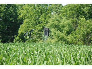 This unique property adjoins the Pigeon Fish & Wildlife Area, which is dedicated to providing quality hunting and fishing on 11,605 acres of land, 529 acres of lakes and 17 miles of free flowing river. - 160 acres - Agriculture & Recreation Land