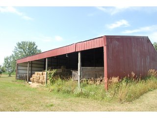 This unique property adjoins the Pigeon Fish & Wildlife Area, which is dedicated to providing quality hunting and fishing on 11,605 acres of land, 529 acres of lakes and 17 miles of free flowing river. - 160 acres - Agriculture & Recreation Land