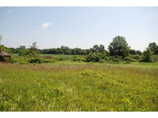 This unique property adjoins the Pigeon Fish & Wildlife Area, which is dedicated to providing quality hunting and fishing on 11,605 acres of land, 529 acres of lakes and 17 miles of free flowing river. - 160 acres - Agriculture & Recreation Land