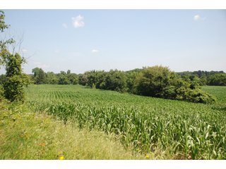 This unique property adjoins the Pigeon Fish & Wildlife Area, which is dedicated to providing quality hunting and fishing on 11,605 acres of land, 529 acres of lakes and 17 miles of free flowing river. - 160 acres - Agriculture & Recreation Land