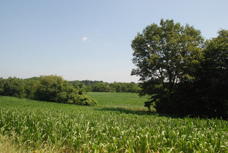 For sale: 160 acres - Agriculture & Recreation Land - Mongo, Indiana