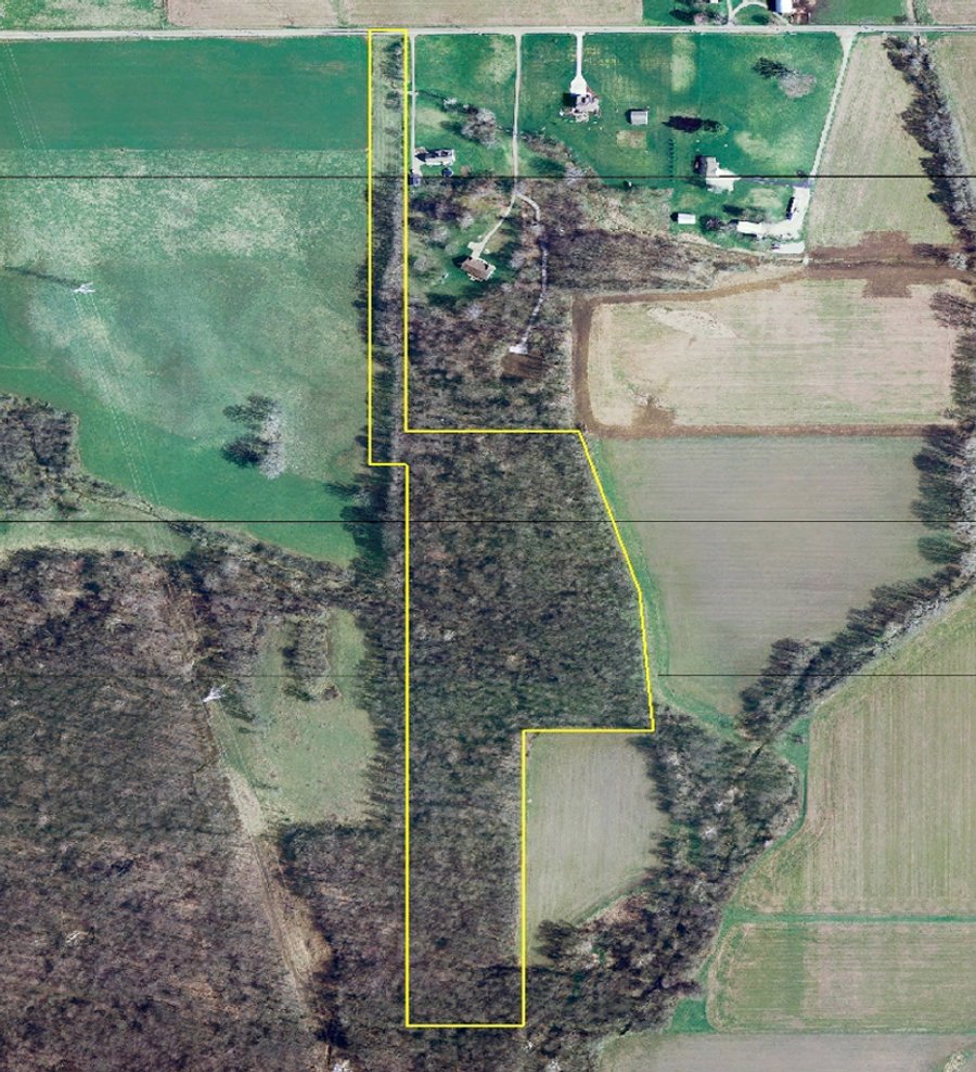 For sale: 20 Acres Mature Woodland (PRICE REDUCED!!) - Between Hagerstown and Cambridge City, IN