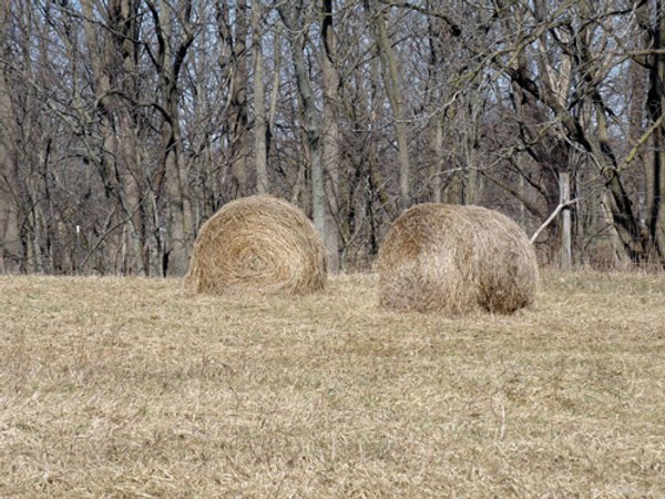 90 Acres Offered in 3 Tracts - Attractive Rolling Acreage