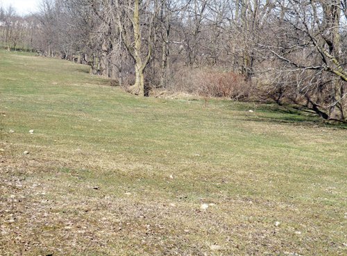 Property photo 3 - 90 Acres Offered in 3 Tracts - Attractive Rolling Acreage